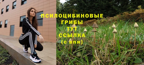 мяу мяу мука Елизово