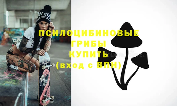 мяу мяу мука Елизово