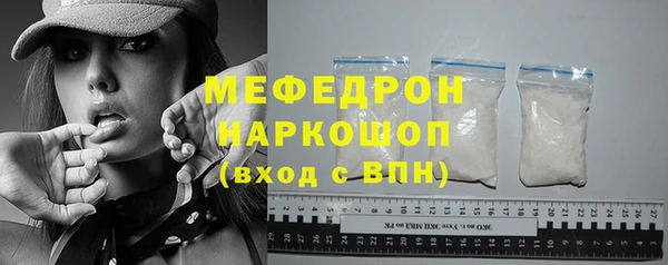 дживик Ельня