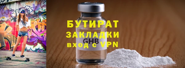 дживик Ельня