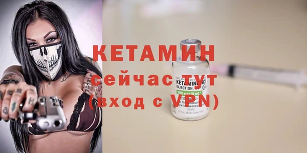 дживик Ельня