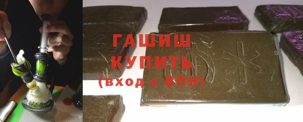 дживик Ельня