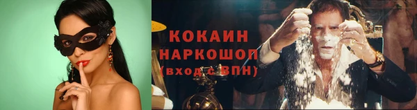 дживик Ельня