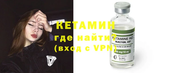 дживик Ельня