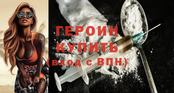 дживик Ельня