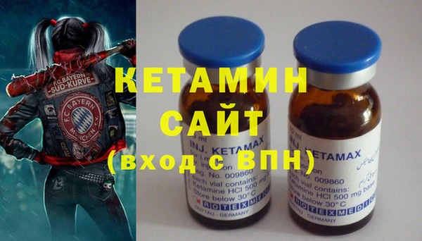 дживик Ельня