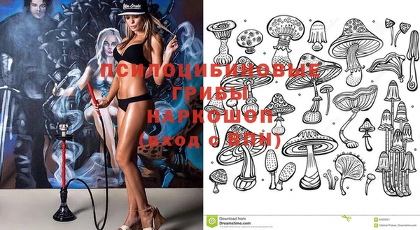 прущая мука Елабуга