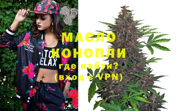 дживик Ельня