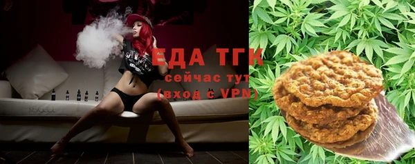 дживик Ельня