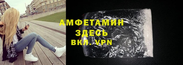 дживик Ельня