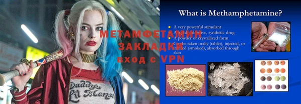 дживик Ельня