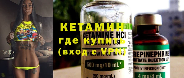 дживик Ельня
