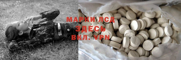 дживик Ельня