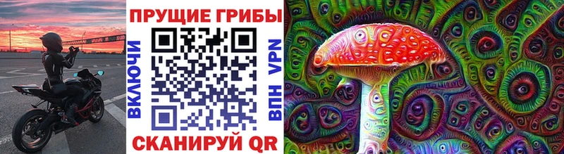 Галлюциногенные грибы Psilocybine cubensis Купить закладки Катайск